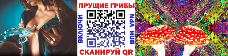 Псилоцибиновые грибы MAGIC MUSHROOMS  где купить наркоту  Новоалтайск 
