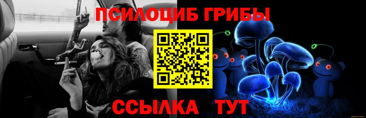 Галлюциногенные грибы GOLDEN TEACHER  Вход с VPN  Новоалтайск 